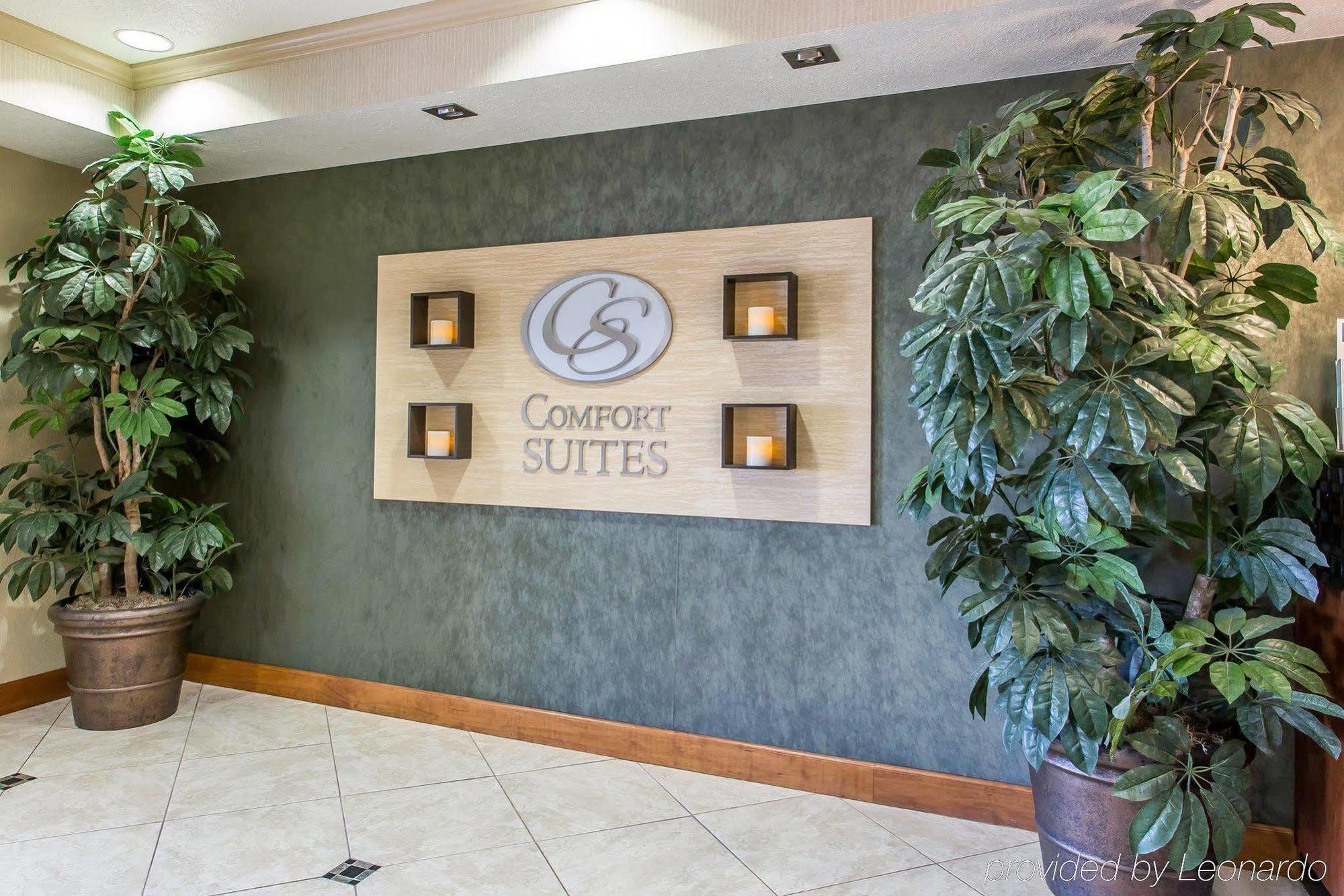 Comfort Suites Hopkinsville Near Fort Campbell Eksteriør billede